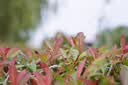 适马（SIGMA）56mm F1.4 DC DN｜Contemporary 半画幅大光圈定焦镜头 人像特写（适马56 f1.4索尼E卡口） 实拍图