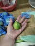 广东香水柠檬包邮新鲜水果柠檬精选皮薄奶茶店【百补优选】 香水柠檬6粒装  单果净重70g+ 实拍图