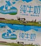 新农【26年9月产】冰川砖纯牛奶200g*20盒全脂儿童成人新疆奶 实拍图