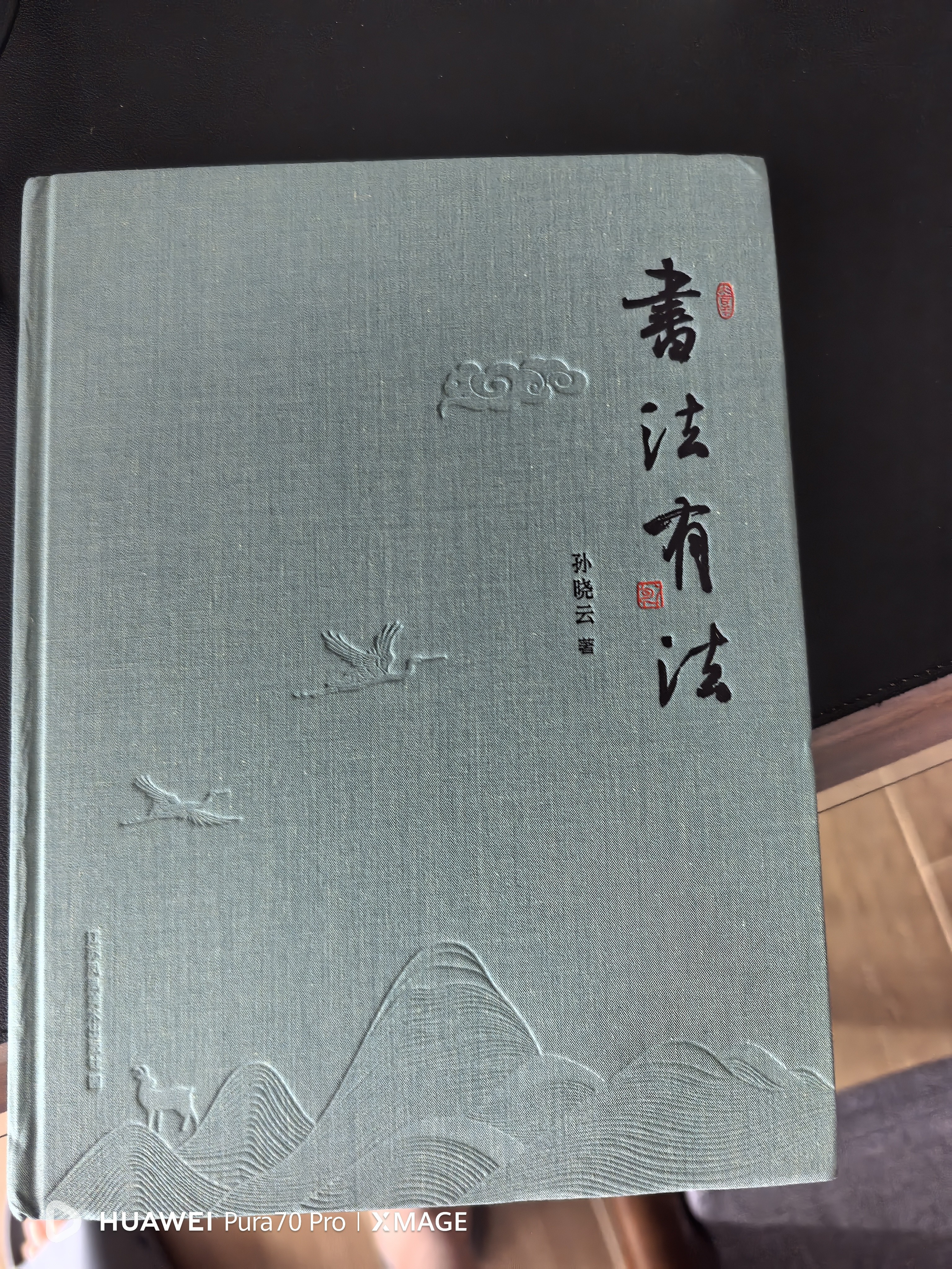 书法有法(彩色20周年纪念版) 实拍图