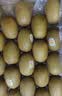 佳沛（zespri）新西兰金奇异果12粒特大果124-146g猕猴桃中秋节礼品送水果礼盒 实拍图