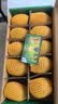佳沛（zespri）新西兰金奇异果10个装单果重103-114g猕猴桃中秋节礼品送水果礼盒 实拍图