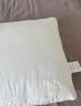 博洋家纺100%新疆棉花床垫床褥子全棉可水洗垫被 180*200cm家居馆 实拍图