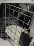 腆宠宠物航空箱小号 猫咪航空箱猫狗 猫包猫笼外出车载猫箱狗狗托运 实拍图