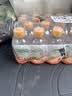 康师傅喝开水200ml*24瓶 熟水饮用水 小瓶口袋水 便携办公会议批发整箱 实拍图