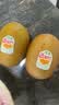 佳沛（zespri）新西兰阳光金奇异果6粒装88-103g猕猴桃水果中秋节礼品送水果礼盒 实拍图