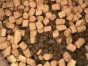 路斯成犬狗粮中小型犬大型犬通用大包装牛肉鸡肉口味10kg 【牛肉&鸡肉】成犬粮10kg 实拍图
