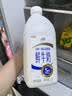 伊利高品质全脂鲜牛奶1.5L桶装鲜活营养早餐巴氏杀菌低温牛乳 实拍图