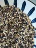 华田禾邦高纤七色糙米5斤 免浸泡 控糖尿病人孕妇低脂低糖杂粮粗糙米饭粥 实拍图