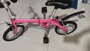 大行（DAHON）BYA412 粉色折叠自行车14英寸超轻便携小轮男女式单车 实拍图