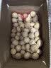 新货新疆185纸皮生核桃5斤新鲜原味坚果孕妇零食核桃纸皮薄皮核桃 【当季新果-5斤手剥即开】新疆185纸皮核桃 严选品-正宗新疆阿克苏老树185纸皮核桃 实拍图