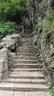京东京造【致远】3K碳纤维铝合金登山杖超轻折叠户外爬山徒步手杖红 SZ300 实拍图
