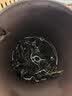 天池乌龙茶凤凰展翅凤凰单丛茶单枞蜜兰香一级320g罐装节日送礼 实拍图