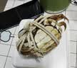 【活蟹】漁家师傅大闸蟹全母3.5-3.8两8只去绳足重鲜活螃蟹现货生鲜水产礼盒中秋送礼 实拍图