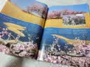 博物 蟑螂 2025年11月号 最强双马尾 中国国家地理青春少年版 博物君探索自然奥秘 实拍图