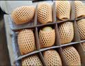 佳沛（zespri）新西兰金奇异果18粒优选果103-124g猕猴桃中秋节礼品送水果礼盒 实拍图