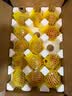 京鲜生 山东普罗旺斯番茄净重4.5斤中大果125g+ 沙瓤水果西红柿源头直发 实拍图