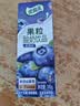 伊利优酸乳果粒酸奶饮品蓝莓味 245g*12盒 真实果粒 中秋礼品礼盒装 实拍图