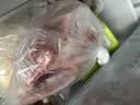 硒全食美无抗富硒老鸽 净重400g/只 冷冻 鸽子生鲜煲汤烧烤鸽子肉鸽 实拍图
