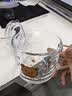玻璃杯牛奶杯儿童早餐杯带盖勺可爱水杯学生咖啡杯 可爱小熊+PS盖+玻璃吸管 350ml 实拍图