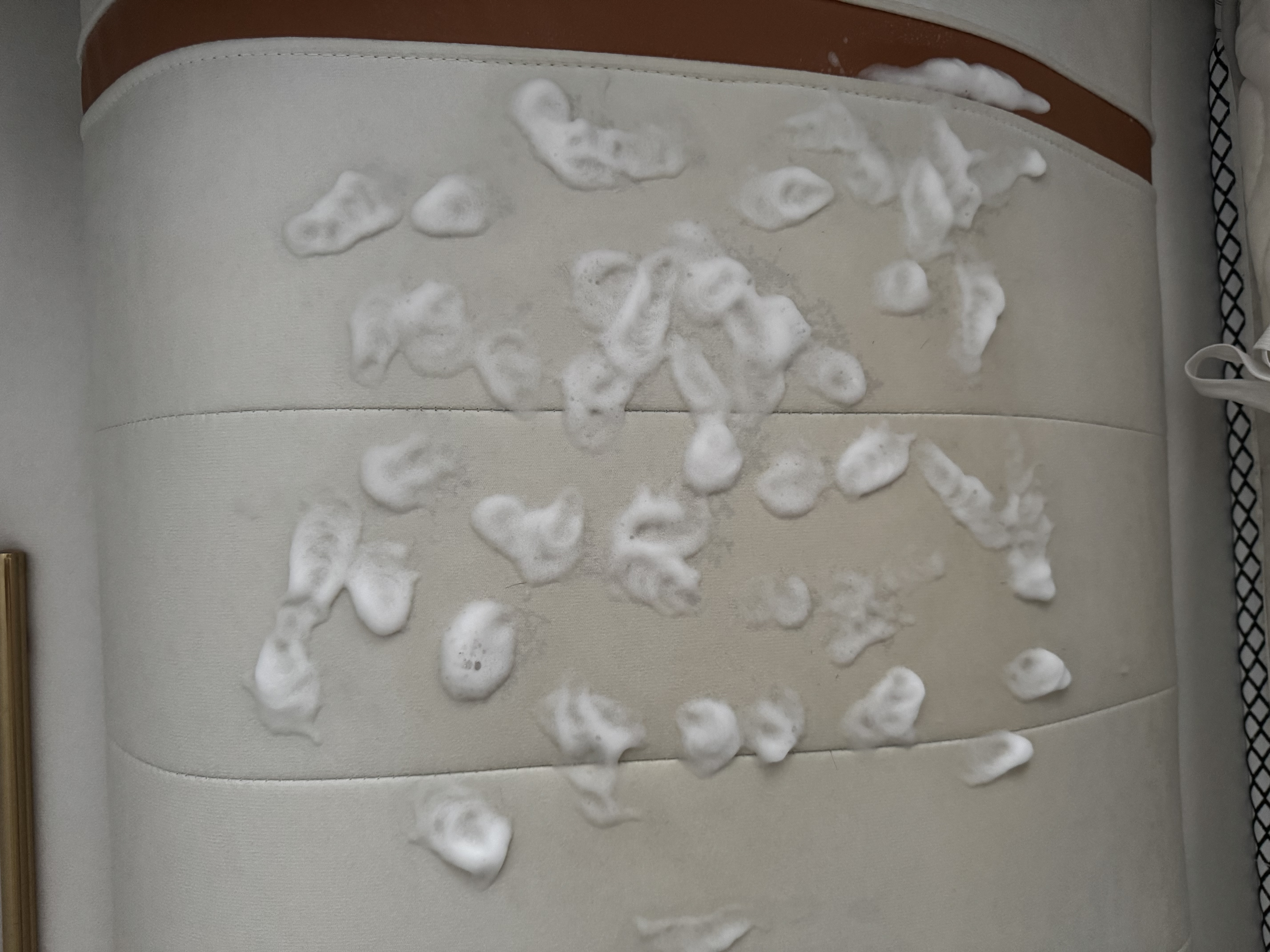 老管家布艺清洁剂500g*2免水洗毛毯窗帘布艺沙发墙布清洗剂干洗剂 实拍图