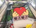 原始人充气床垫打地铺家用双人便携帐篷户外露营野营加厚自动气垫 双人带枕充气垫【免按键/抽充两用充气泵】赠收纳袋 实拍图