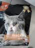 亿迪猫粮成猫幼猫全价主粮装英短蓝猫通用型天然粮 羊奶果蔬粮5kg 实拍图