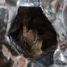 福东海 精品天麻片350克礼盒【无硫大片】云南昭通天麻切片泡茶酒送礼 实拍图