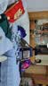 星涯优品遥控机器狗儿童玩具积木高难度成人电动玩具男孩8-12岁生日礼物 实拍图