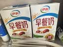 伊利早餐奶 新疆红枣250ml*16盒*1箱 礼盒装  实拍图