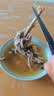 温氏供港富硒老母鸡2.8斤 富硒农家走地鸡 鸡汤 散养500天 冷冻食品 实拍图