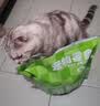 【限量试吃】冻干鸡胸肉猫零食猫粮发腮猫粮鸡小胸鸡肉干鸡脯肉 冻干鸡小胸【净含量500g】袋装 实拍图