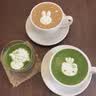 九宇杭州径山抹茶国标一级纯抹茶粉罐装50g烘焙咖啡拿铁奶茶冲饮甜品 实拍图