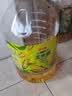 金龙鱼 食用油 非转基因 物理压榨玉米油6.18L（蕴含植物甾醇） 实拍图