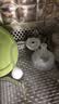 贝亲（Pigeon）自然离乳吸嘴组 含重力球吸管 原装配件12月+330ml奶瓶专用重力球 实拍图