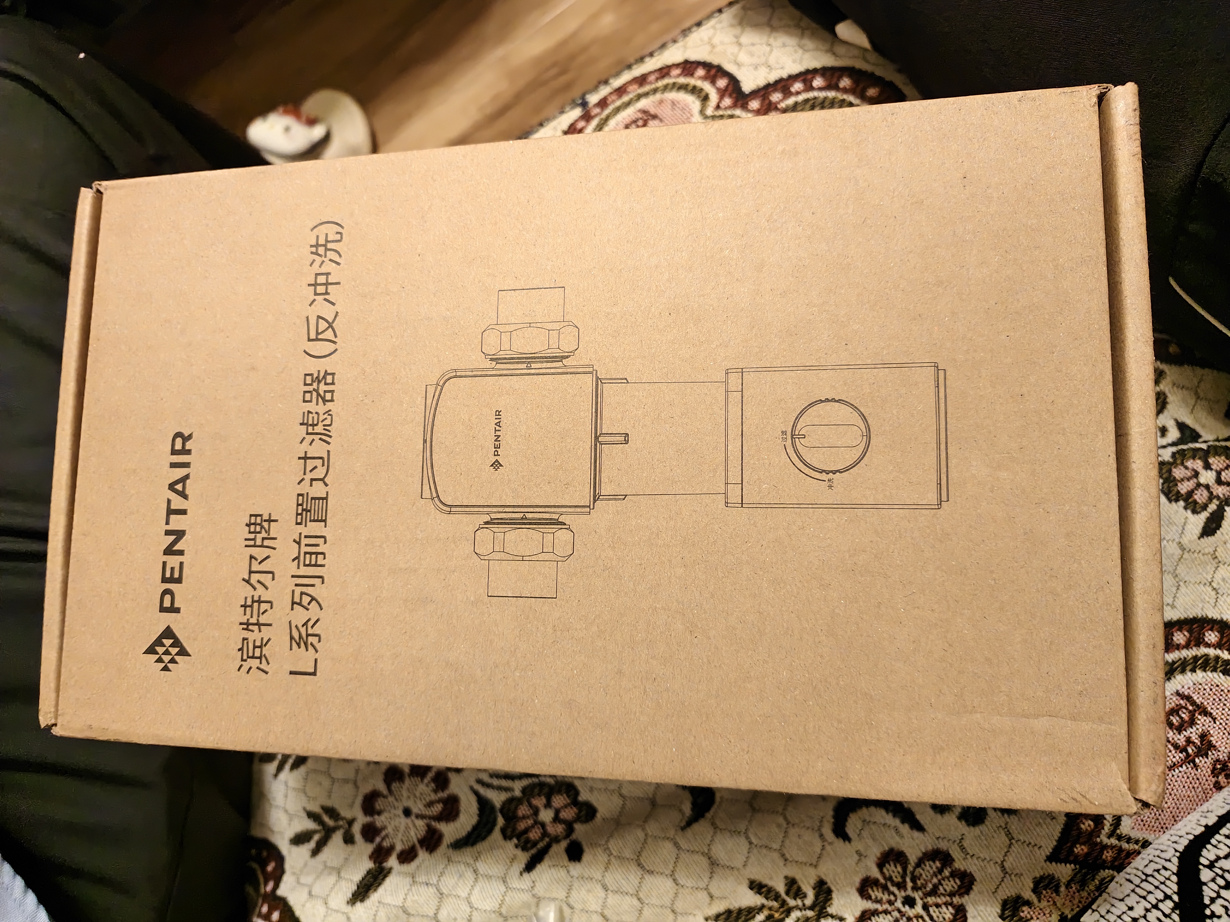 滨特尔（pentair）前置过滤器20T大通量家用25微米叠片 全屋自来水管道过滤器大流量净水器排行前十名 【新款升级】L250抗菌叠片-25μm 实拍图