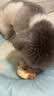 疯狂小狗宠物狗狗零食磨牙棒牛皮卷小型犬幼犬成犬 小号甜甜圈80g*3 实拍图