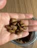 百草味东北松子450g 坚果量贩大颗粒手剥开口原味干果每日坚果送礼 实拍图