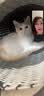 力狼 猫条猫零食 成幼猫通用宠物猫咪零食猫湿粮 【超值囤货】鲜肉猫条15g*100支 实拍图