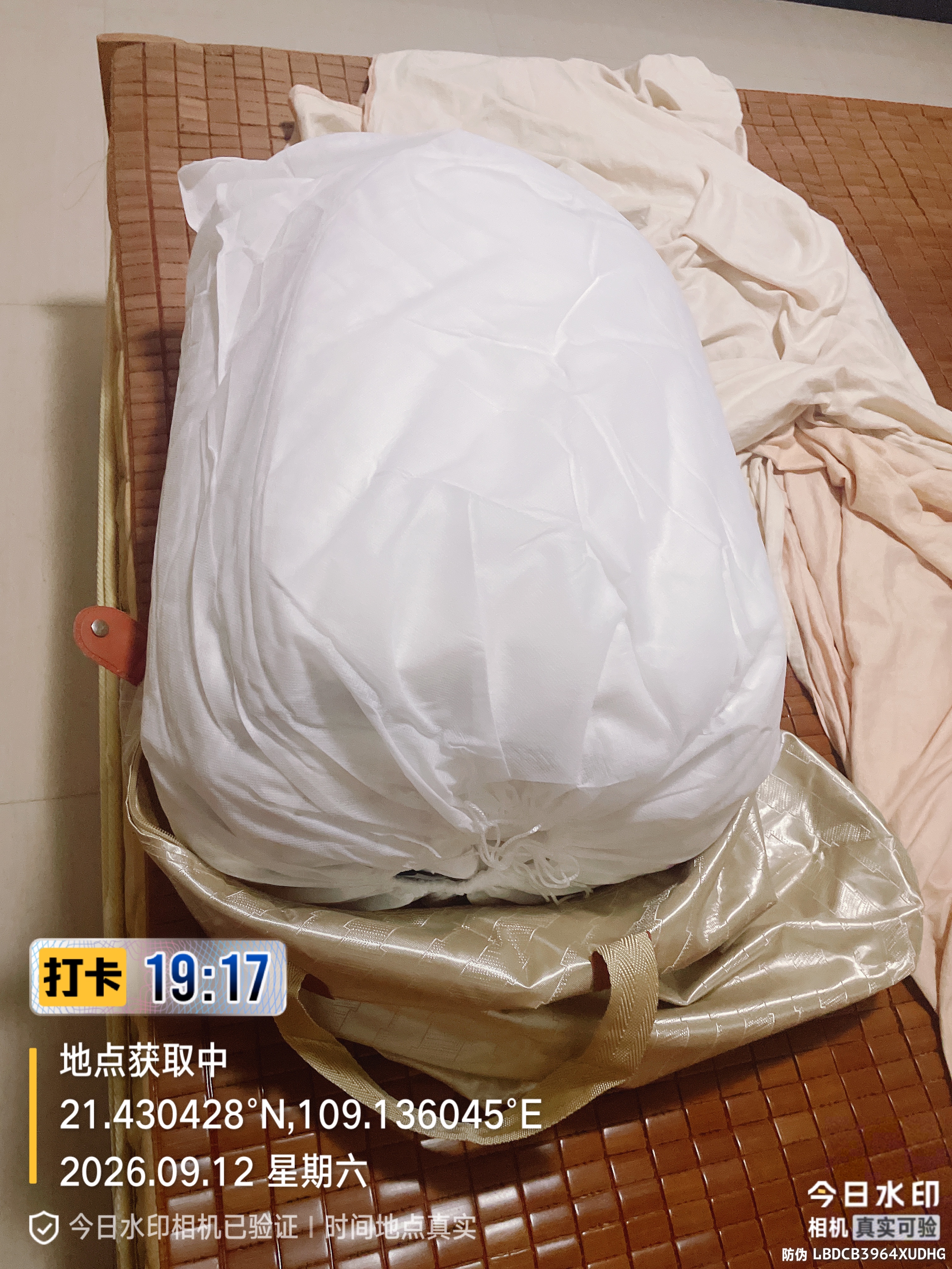 无印良品100%白鹅羽毛被子 匈牙利进口羽毛绒丝秋冬被芯约5.9斤200*230cm 实拍图