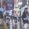 楼兰蜜语国标一级免洗灰枣1500g 新疆红枣蜜饯果干零食煲汤煮粥送礼 实拍图