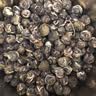 忆江南茶叶茉莉花茶茉莉龙珠200g茉莉绣球春茶自饮罐装浓香型 实拍图
