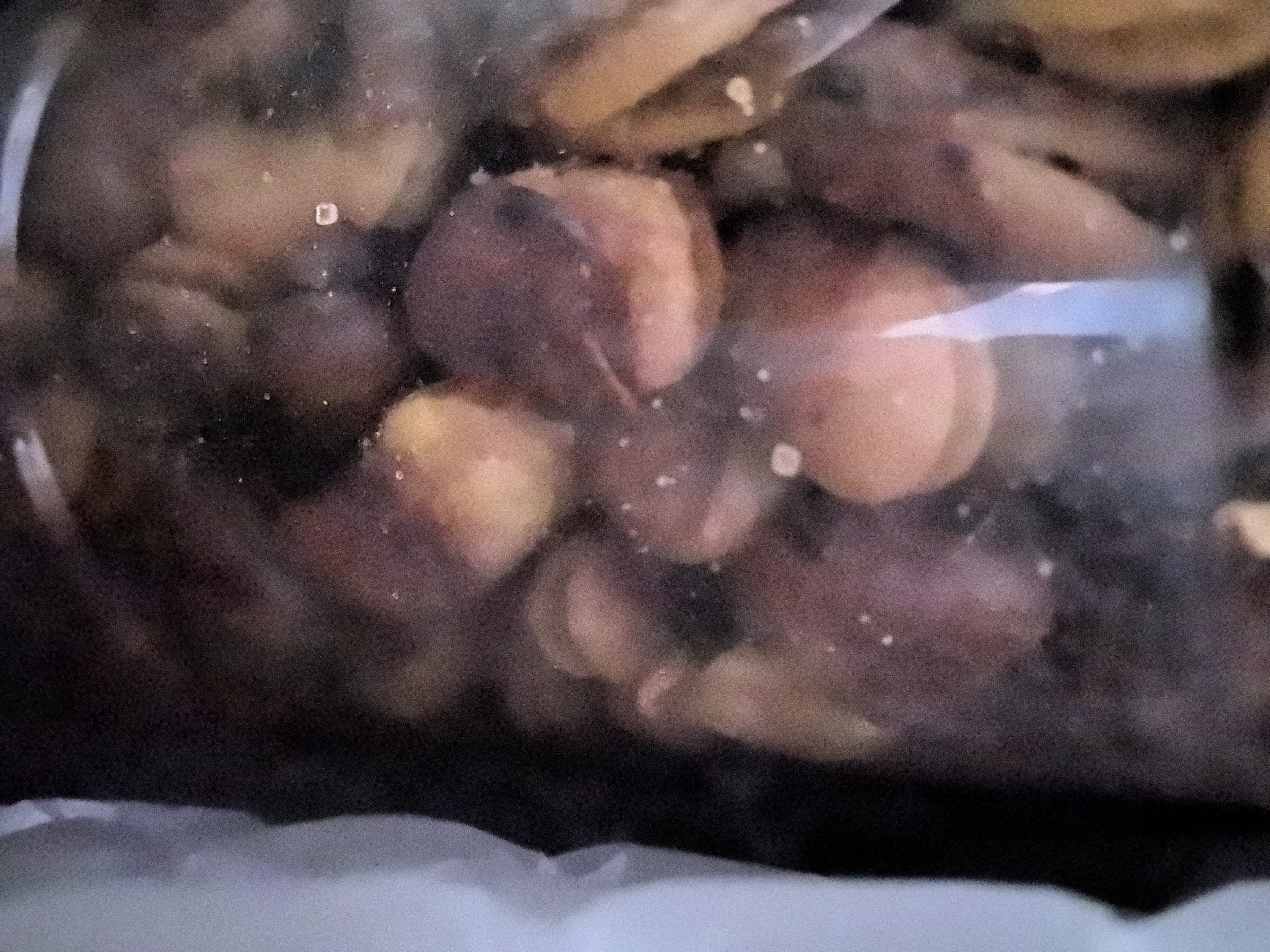 老香农香酥蚕豆牛肉味500g兰花豆休闲特产小吃下酒菜坚果炒货豆类小零食 实拍图