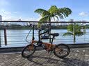 大行（DAHON）P8折叠自行车经典成人20英寸8速折叠车男女式运动单车KBC083 橙色【经典版】 实拍图