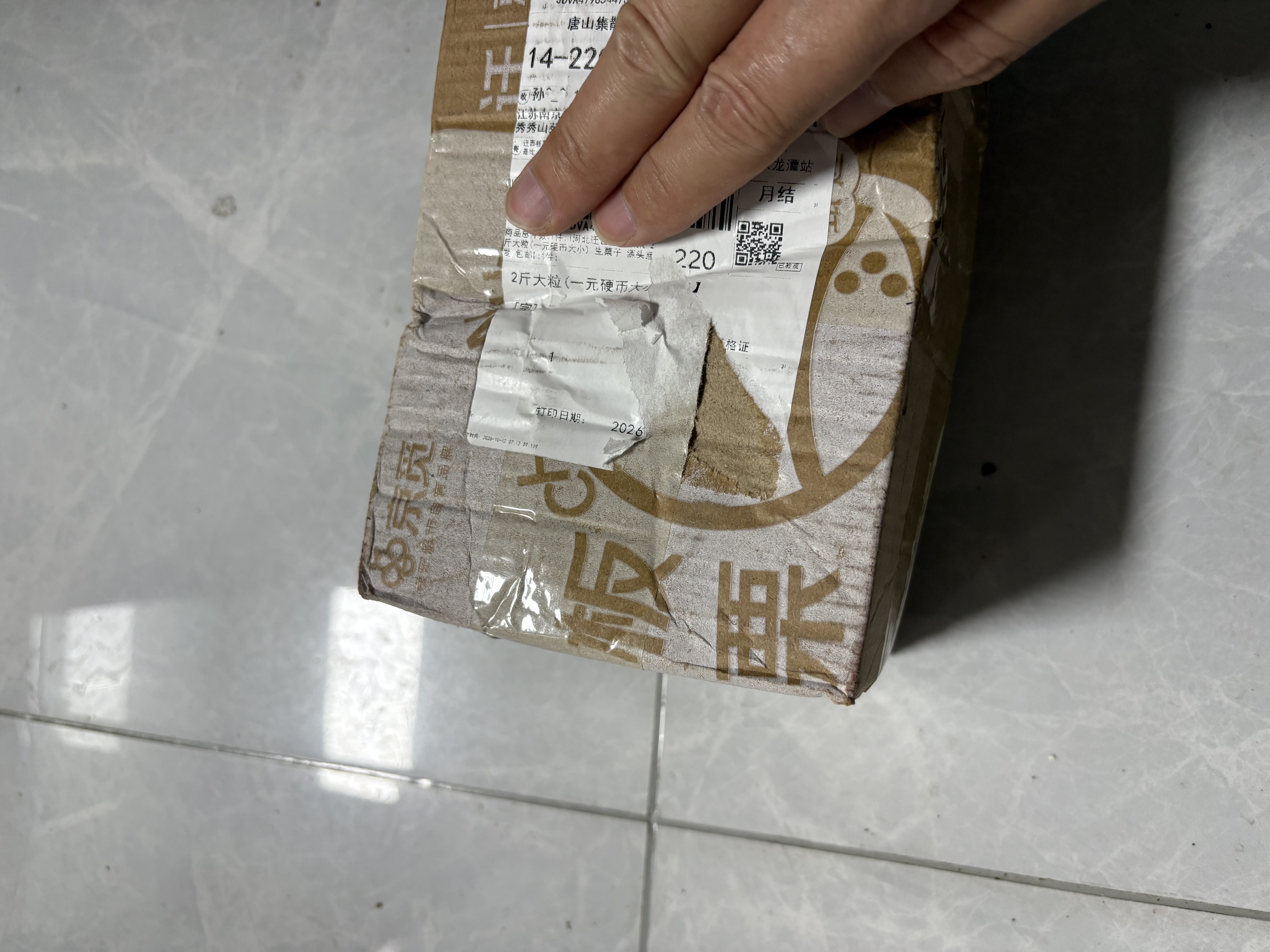 京觅2026河北栗子迁西生新鲜板栗净重2斤大粒(1元硬币大)源头直发包邮 实拍图