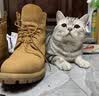 添柏岚（Timberland）踢不烂经典大黄靴高帮马丁靴户外防水真皮宽版男 10061W 41.5 实拍图
