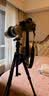 曼富图（Manfrotto）三脚架 Element系列 碳纤维反折式大号球形云台相机单反微单摄影摄像旋锁三脚架MKELEB5CF-BH 实拍图