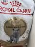 皇家猫粮 英短成猫粮 BS34 通用粮 12月以上 2KG 实拍图