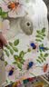 小兔比利触摸书点读版4册幼儿启蒙蒙氏早教书 0-2-3岁幼儿触感训练低幼宝宝认知绘本启蒙益智玩具书乐乐趣亮丽精美机关洞洞触摸童书 实拍图