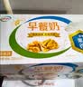 伊利早餐奶核桃味 250ml*24盒 优选核桃早餐伴侣 礼盒装 实拍图